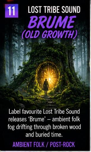 Lost Tribe Sound lets Brume drift out of Old Growth like fog through broken wood
