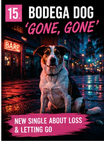 A dog sitting on a wet city street at night near glowing shop windows.