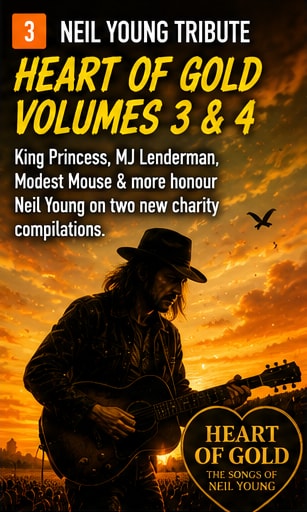 Acoustic guitar and vinyl artwork for Heart of Gold: The Songs of Neil Young charity compilation.