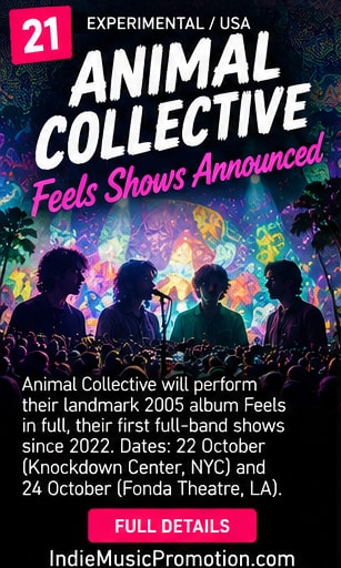 Psychedelic colorful visuals and band silhouettes for Animal Collective Feels shows.