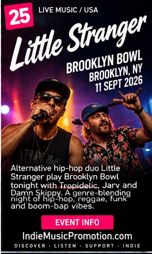 Little Stranger performing to a colourful crowd in Brooklyn Bowl artwork.